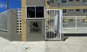 Imagem 2: Apartamento para aluguel tem 46 metros quadrados com 3 quartos