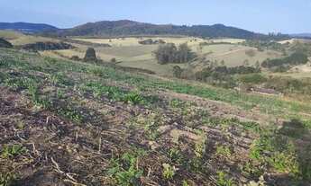Imagem 6: Lote/Terreno para venda possui 500 metros quadrados em Centro - Atibaia - SP