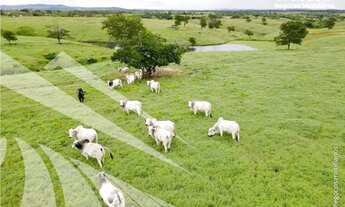 Imagem: Fazenda para Venda em Pombos, Zona Rural