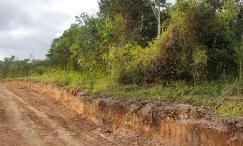 Imagem 2: MV20 - Lote amplo