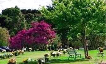 Imagem 3: Jazigo Cemitério Parque Barigui