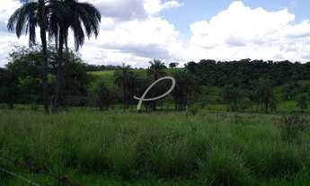 Imagem 4: área - Parque da Empresa - Mogi Mirim