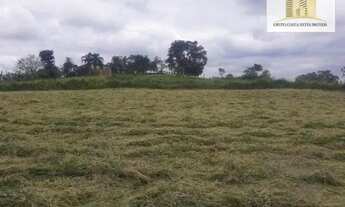 Imagem 5: Terreno à venda, 3000 m² por R$ 181.000 - São João da Boa Vista - Caçapava/SP