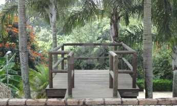 Imagem 4: Chácara - Monterrey - Louveira