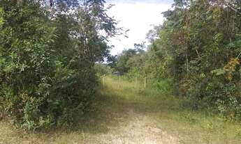 Imagem 5: Terreno Chácara com venda por R$120.000