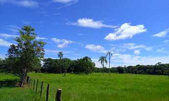 Imagem 5: Fazenda 25 alqueires Plana ( Willian Ricardo