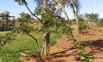 Imagem 4: Vendo chácara 5.555mts perto da cidade