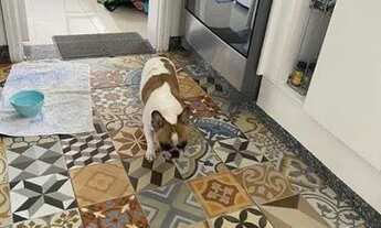 Imagem 6: Apartamento com 3 dormitórios para alugar, 180 m² por R$ 5.040,00/mês - Centro - Jundiaí/S