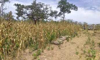 Imagem 4: Terreno Chácara com venda por R$120.000