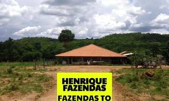 Imagem 2: Fazenda região de Novo Acordo 127 alqueires