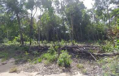 Imagem 2: Vendo este terreno no Pajuçara