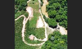 Imagem 3: Chácara perobas ,água .luz,perto patrimônio ,condomínio rural não paga