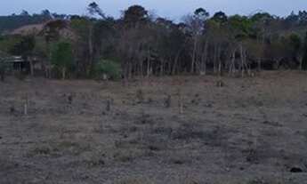 Imagem 5: Vende-se EXELENTES chácaras neste local