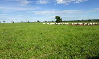 Imagem 4: Aceita permuta Fazenda / sítio com venda por R$38.400.000