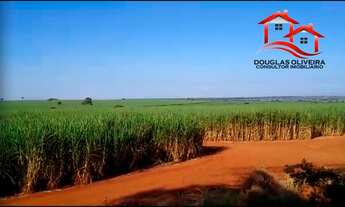 Imagem: Fazenda 142 Alqueirão Região de Carneirinho/MG