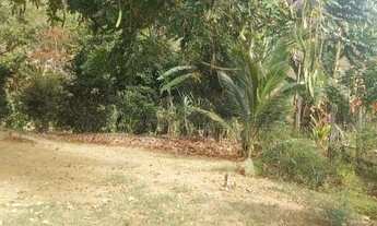 Imagem 7: Vendo sitio em Santa Cruz águia branca