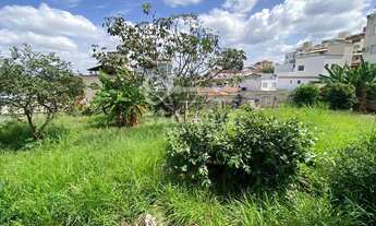 Imagem 4: BELO HORIZONTE - Loteamento/Condomínio - Paquetá