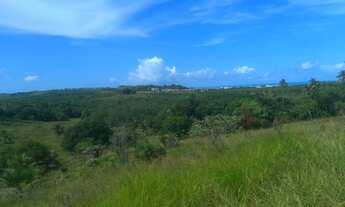 Imagem: Imóvel para venda tem 274 ha- Maragogi