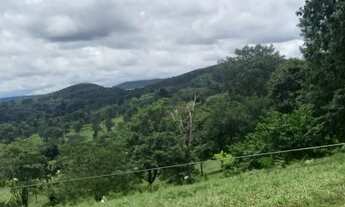 Imagem 4: Oportunidade! Vende-se uma excelente fazenda de 110 Alqueires