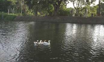 Imagem 7: Apto 3 quartos para venda, em São Lourenço, pronto pra morar