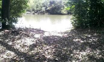 Imagem 3: Oportunidade! Vende-se uma excelente fazenda 306 Alqueires