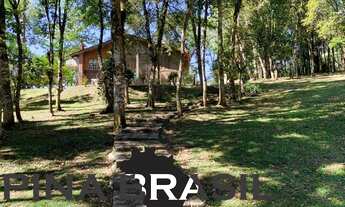 Imagem 5: Chácara para Venda em Quatro Barras, Campininha, 3 dormitórios, 2 banheiros, 8 vagas