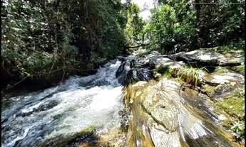 Imagem 3: SÍTIO NA MONTANHA COM RIO  LAZER/MORADIA/GADO - SILVEIRAS  SP