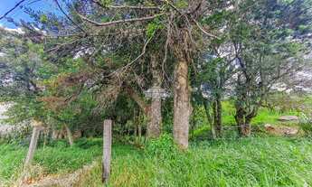 Imagem 4: Terreno com 1189,30 m² no bairro Rio Pequeno em São José dos Pinhais PR