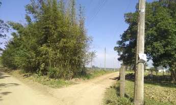 Imagem 6: Fazenda de 85 hectares a 35 mil o hectare