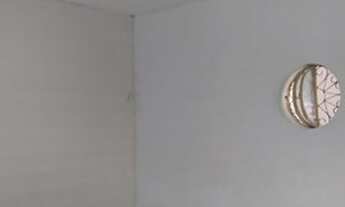 Imagem 7: Casa no José Pinheiro