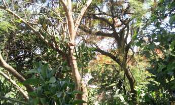 Imagem 7: Casa 3 Quartos Santa Tereza