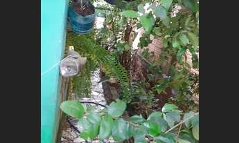 Imagem 3: Casa Casa com 2 dormitórios