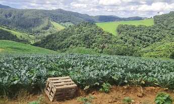 Imagem 6: TERRENO COM 8 ALQUEIRES DE TERRA COM NASCENTE OTIMA LOCALIZAÇÃO
