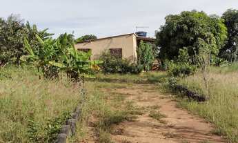Imagem 3: Chácara em Planaltina de Góis 4 mil metros, 79 Mil