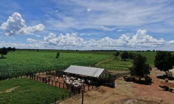Imagem 3: FAZENDA EM NOVA CRIXAS - OPORTUNIDADE - 106 ALQUEIRES