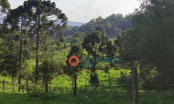 Imagem 9: Chácara à venda, 7 alqueires por R$ 1.200.000 - Zona Rural - Guarapuava/PR