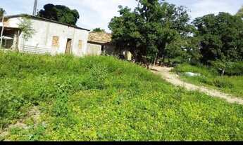 Imagem 4: Vende-se uma fazenda de 143 hectares