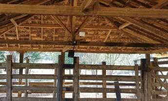 Imagem 3: ESTRUTURA PARA PECUÁRIA!!!AGUA DE NASCENTE!!!90% PASTAGEM!!! 35 KM DO AEROPORTO!!!