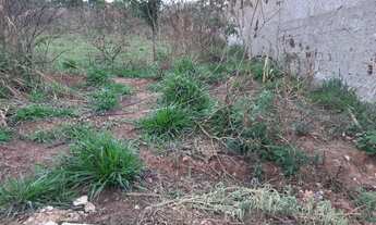 Imagem 6: São Joaquim de Bicas - Lotes Financiados com entrada de 4 mil dividida em 2 pagamentos