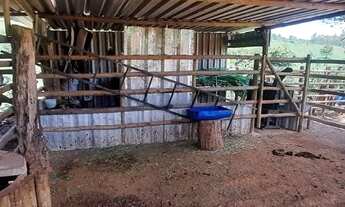 Imagem 5: Sitio em Azurita/MG 20 mil metros, muito bem localizado ótimo cantinho na roça!