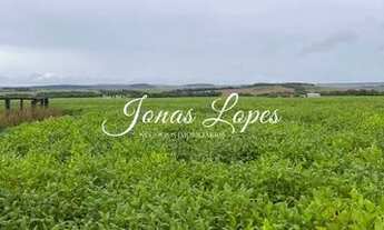 Imagem 7: FAZENDA NO MATO GROSSO CANARANA MT<br>ÁREA DE 1034 HECTARES