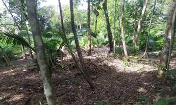 Imagem 3: Vendo este terreno no Pajuçara