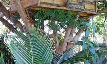 Imagem 3: Aluga chácara em Alvorada do Sul Pr