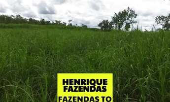 Imagem 7: Fazenda região de Novo Acordo 127 alqueires