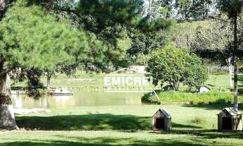 Imagem 4: Chácara com 4 dormitórios à venda, 8723 m² por R$ 1.000.000,00 - Estância Grande - Viamão