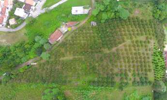 Imagem: Lote com 13.450m2 e excelente topografia