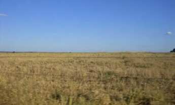 Imagem: Fazenda à venda, 2 quartos, Centro - Ribeirão