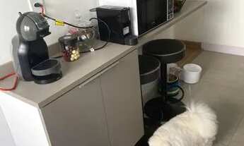 Imagem 5: Excelente Oportunidade / Mobília nova / Apto Próx Rodovia Anchieta / Agende