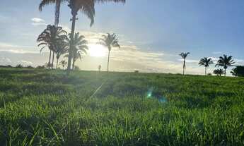 Imagem: Fazenda em Guaraí