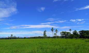 Imagem 2: Fazenda 25 alqueires Plana ( Willian Ricardo